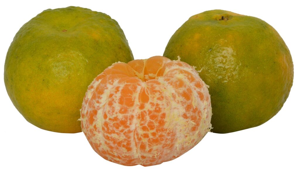 nagpur orange
