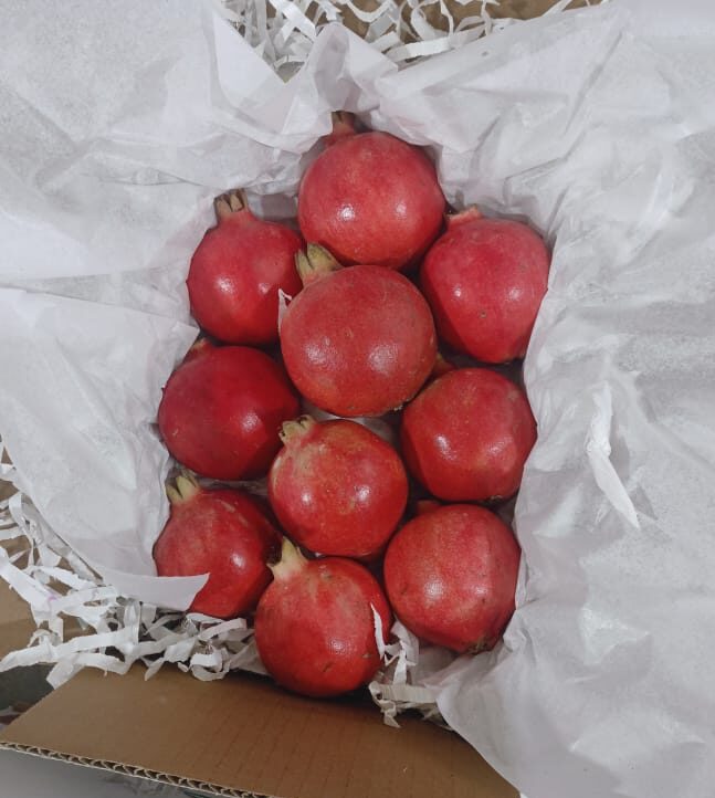 Export quality Bhagwa pomegranate packing and sourcing visual