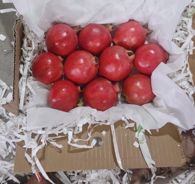 Bhagwa pomegranate export supply chain visual