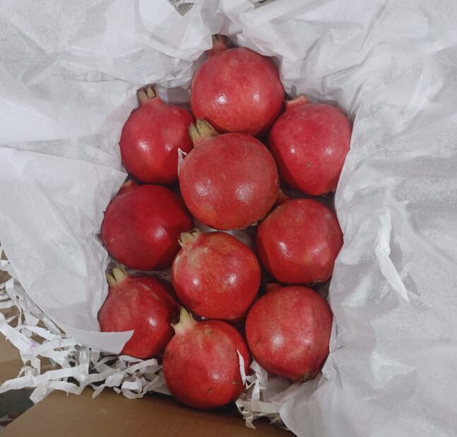 Fresh pomegranate export packaging visual